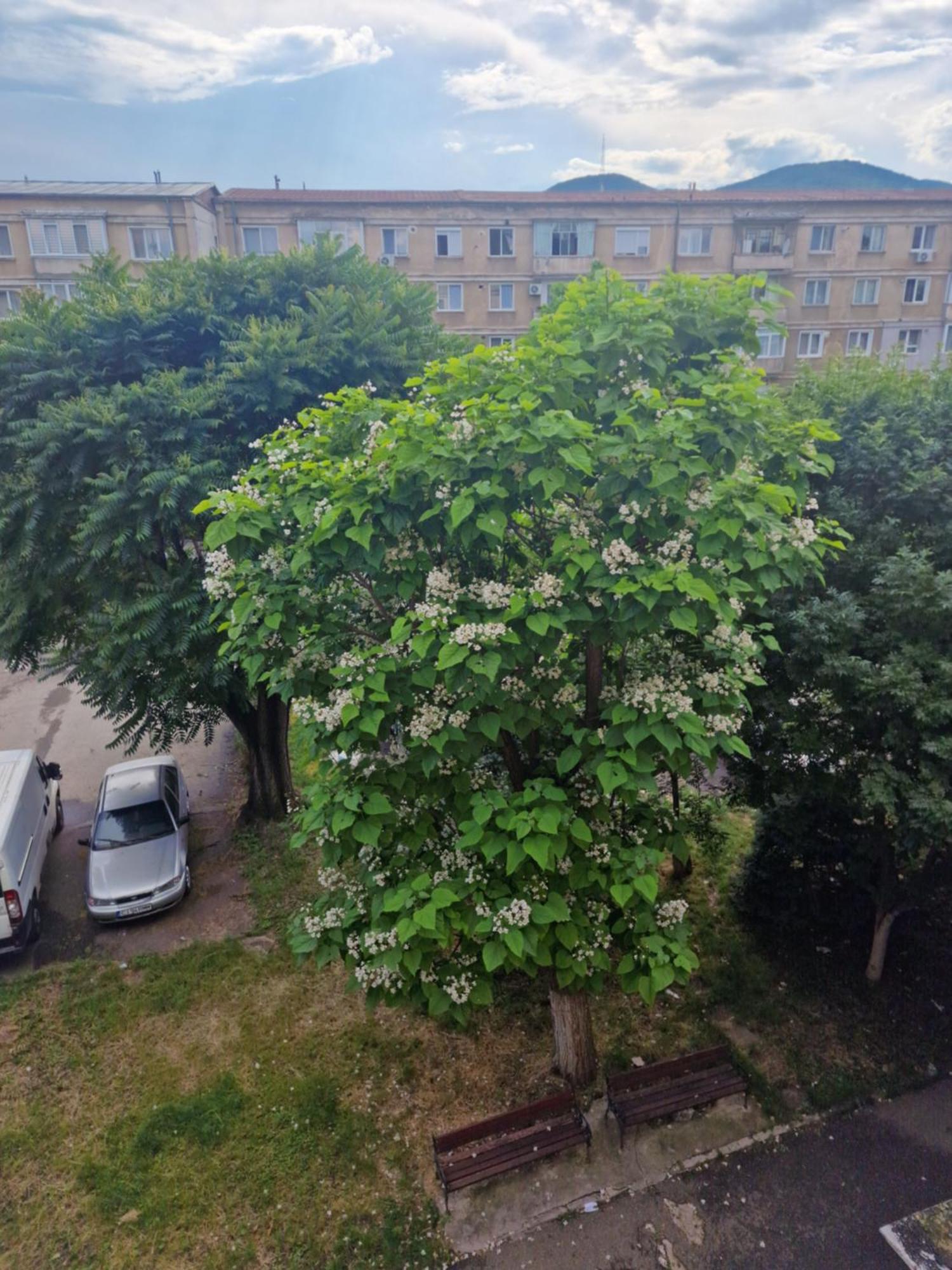 Apartament Central Deva Apartment Exterior foto